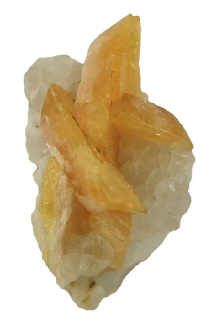 Fresnoite image