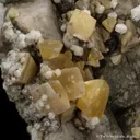 Fresnoite on Analcime - image 3