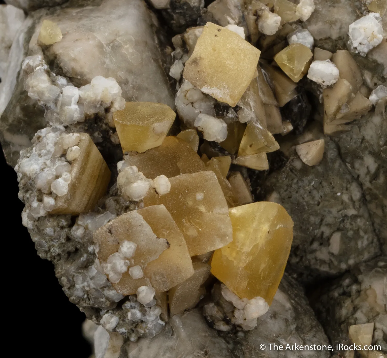 Fresnoite on Analcime - image 3