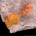 Fresnoite on Analcime - image 1
