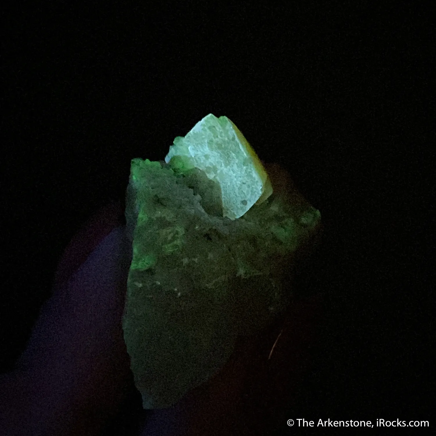 Fresnoite on Analcime - image 4