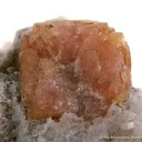 Fresnoite on Analcime - image 2