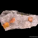 Fresnoite on Analcime - image 2