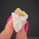 Fresnoite on Analcime - image 5