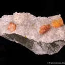 Fresnoite on Analcime - image 3