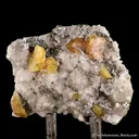 Fresnoite on Analcime (Illustrated) - image 3