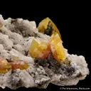 Fresnoite on Analcime (Illustrated) - image 1