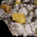 Fresnoite on Analcime (Illustrated) - image 4