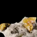 Fresnoite on Analcime (Illustrated) - image 2