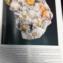 Fresnoite on Analcime (Illustrated) - image 5