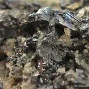 Frieslebenite on Quartz - image 4