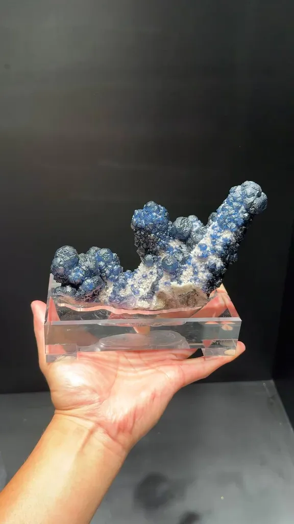 specimen video
