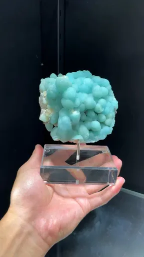 specimen video