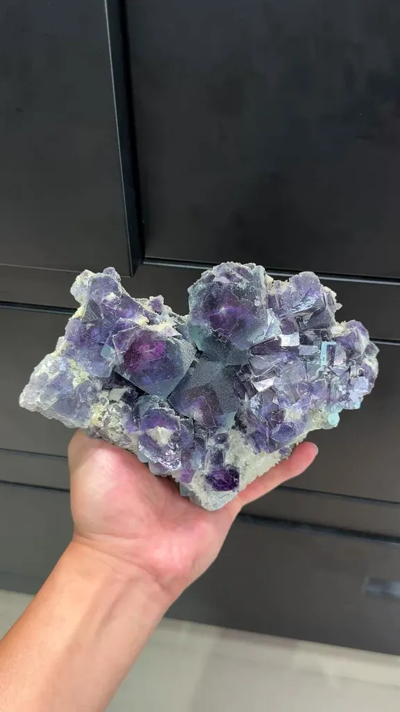 specimen video