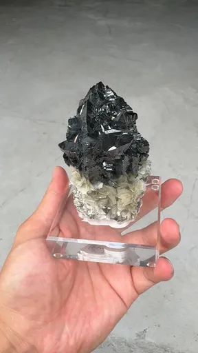specimen video