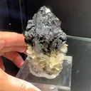 specimen video