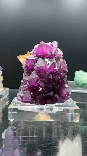 specimen video