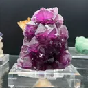 specimen video