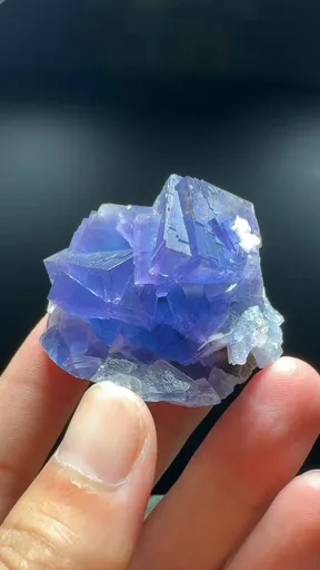 specimen video
