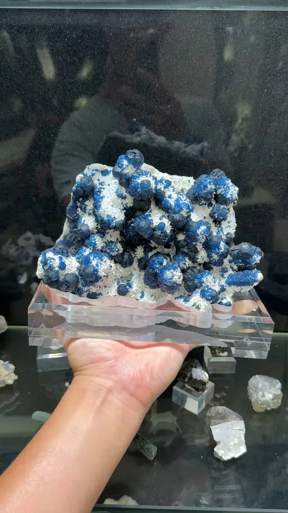 specimen video