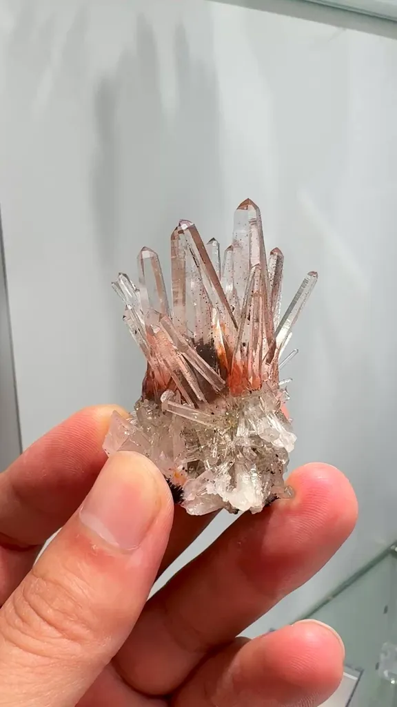specimen video
