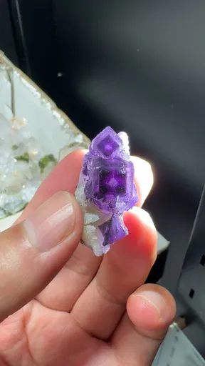 specimen video