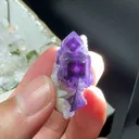 specimen video