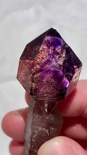 specimen video