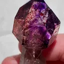 specimen video