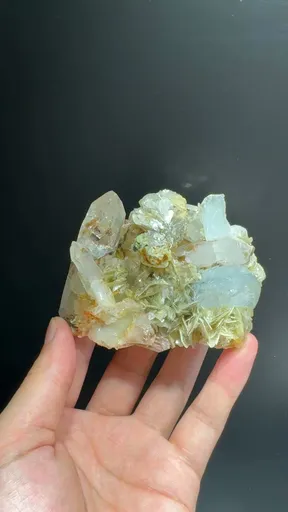 specimen video