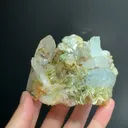 specimen video
