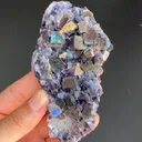 specimen video