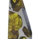 Fukang Meteorite (with Peridot) - image 3