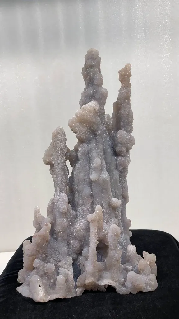 specimen video