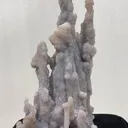 specimen video