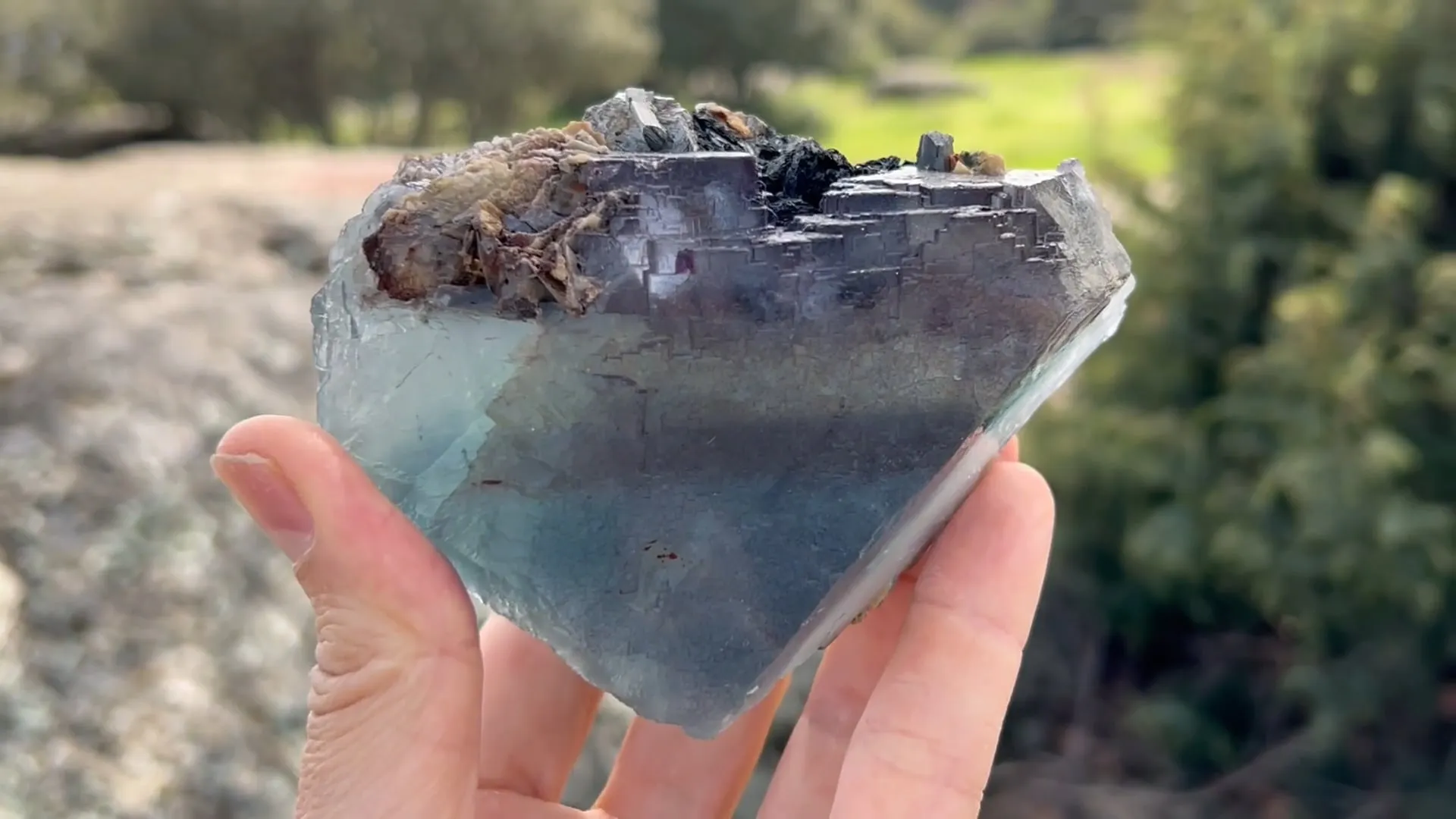 Fuorite with Ferberite, Siderite and Arsenopyrite - image 5