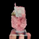 specimen video