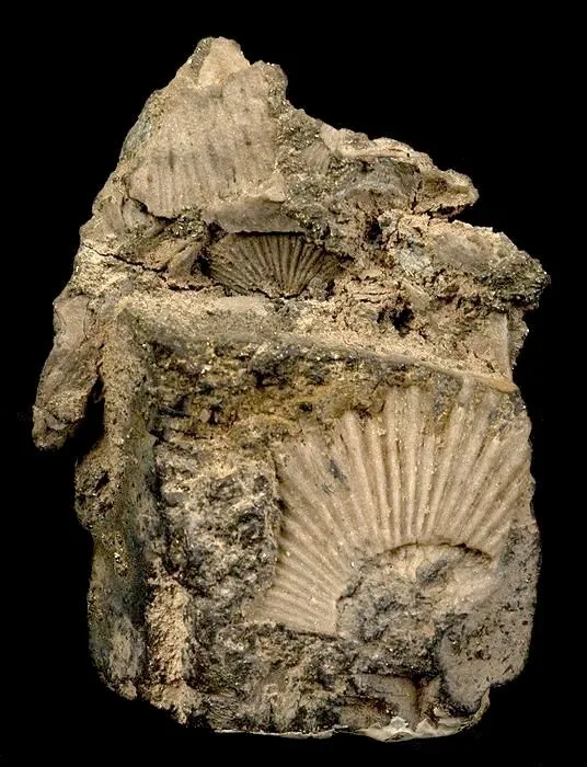 Galena image