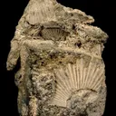 Galena - image 1