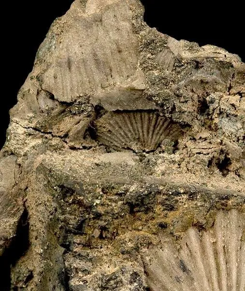 Galena - image 2