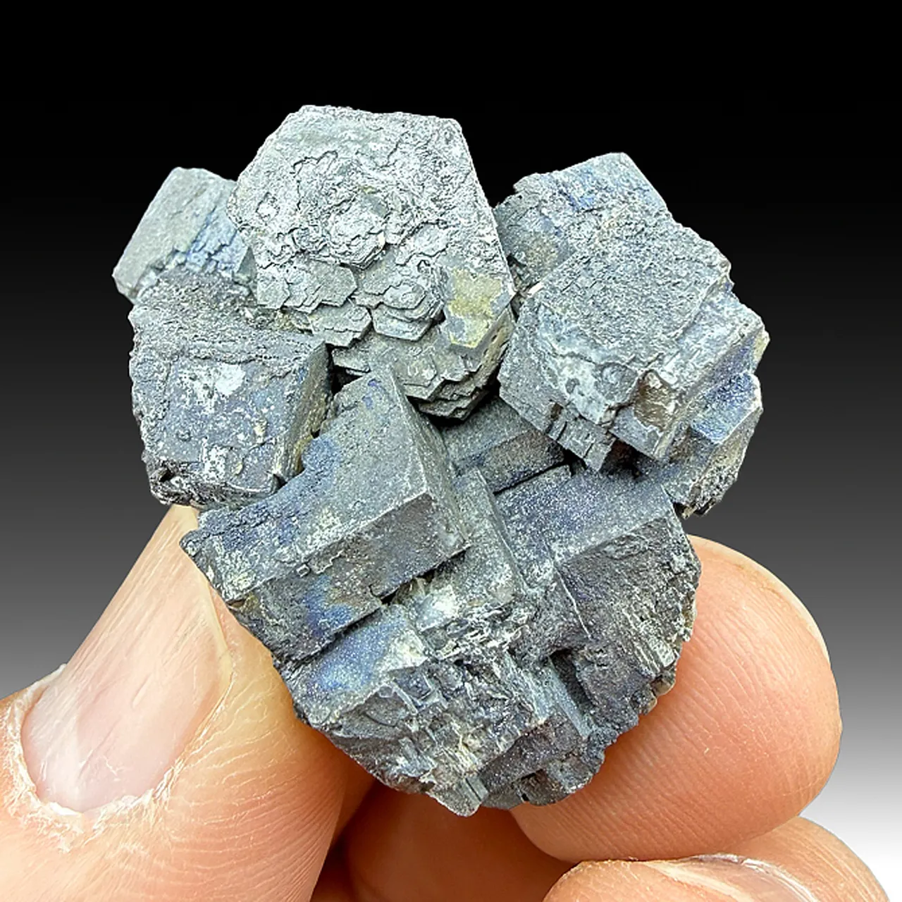 Galena after Pyromorphite - image 1