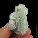 Galena and Fluorite with Baryte and Chalcopyrite - image 2