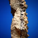 Galena and Silver on Siderite and Barite - image 3