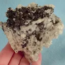 Galena, Calcite - image 1