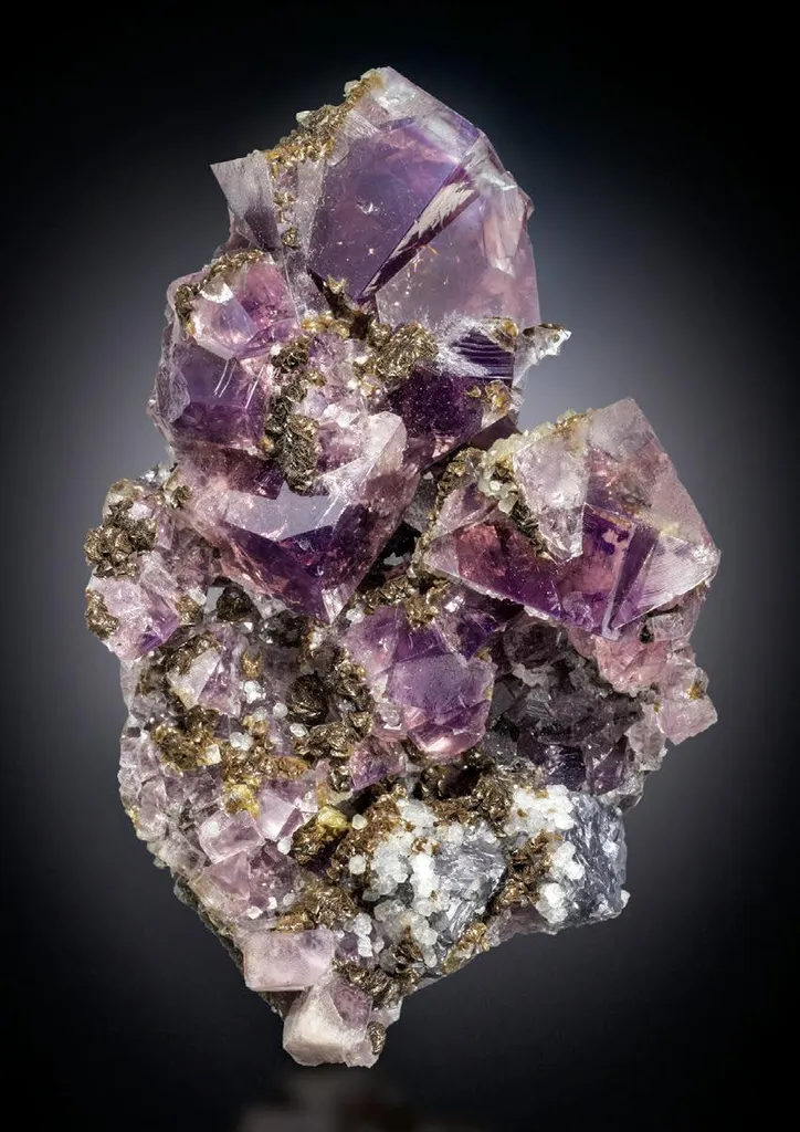 Galena, Calcite, Siderite, Fluorite, Quartz image