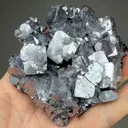 Galena (cast) - image 2