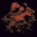 Galena, Chalcopyrite, Calcite - image 3