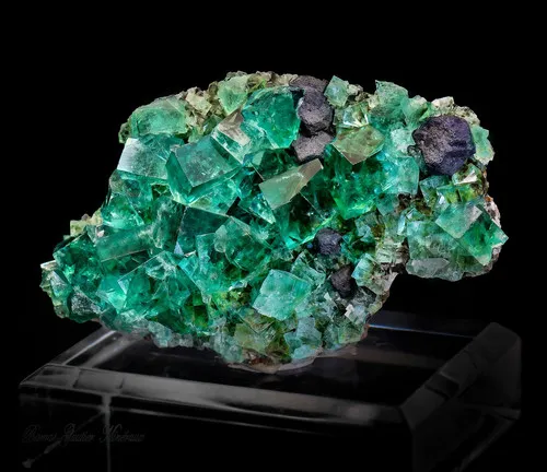 Galena- Fluorine image