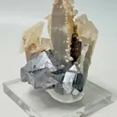 Galena from Borieva Mine, Smolyan Province, Bulgaria - image 4