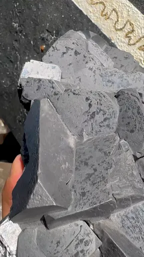 specimen video